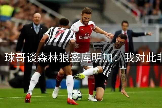 球哥谈森林狼签库明加：我对此非常看好 三球可更多地出任控卫